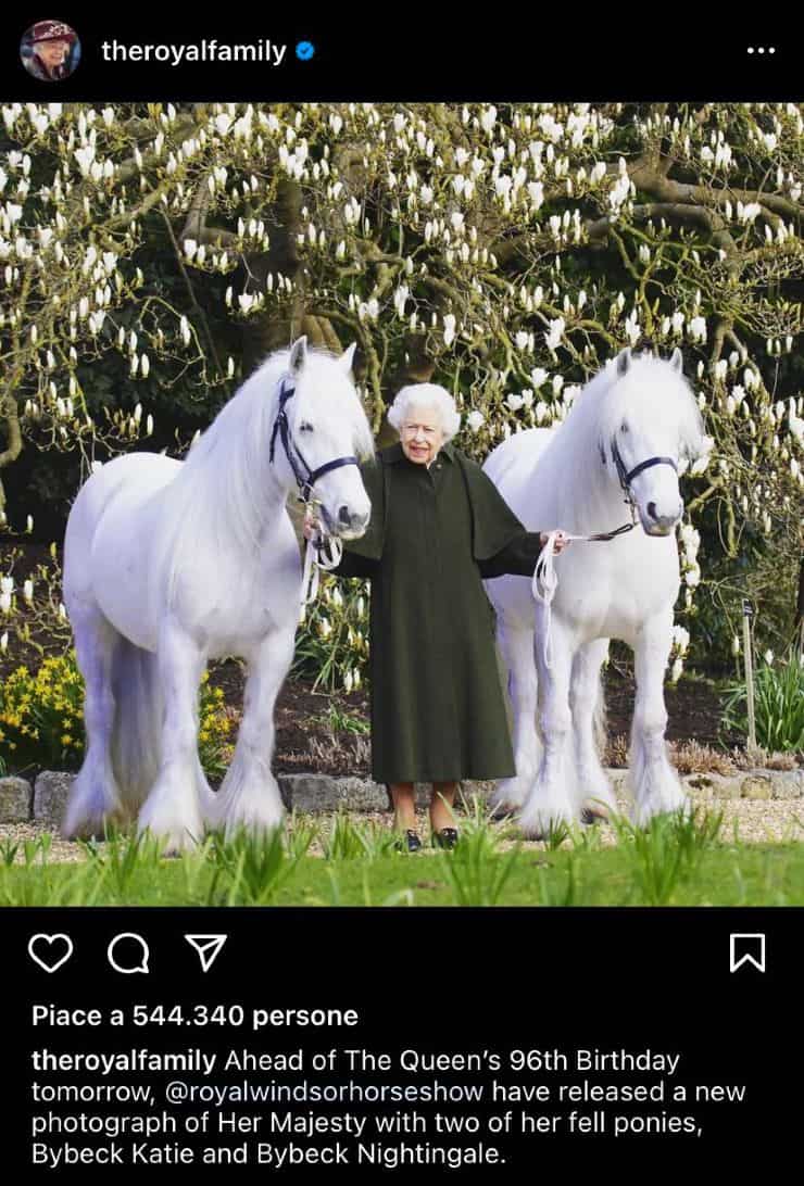 regina Elisabetta con i suoi pony